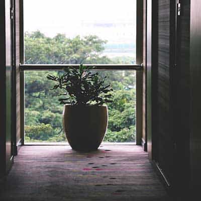 Home Slide3 Free Img